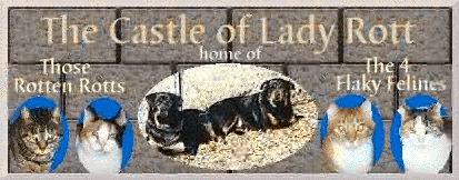 The Castle of Lady Rott & her 4 Flaky Felines