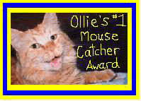 Ollie's Award