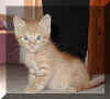 Rusty 08/1999 - click on thumbnail to see later pic