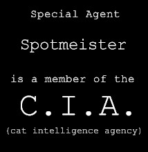 Secret Agent Spotmeister