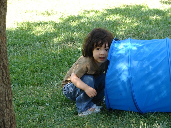 Playing at the park Photo
