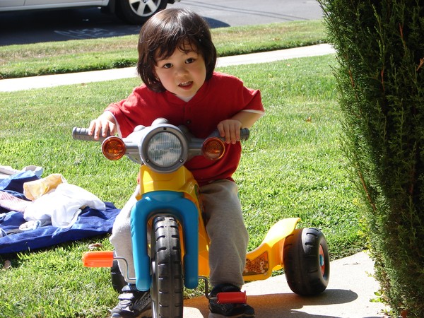 Stanford-Binet IQ test Photo