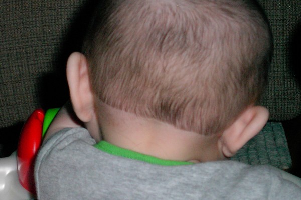 First Haircut Photo