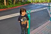 Click to see larger view!