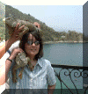 Huge Iguanas