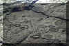 One of the many petrogylphs we saw - click on picture to see larger representation