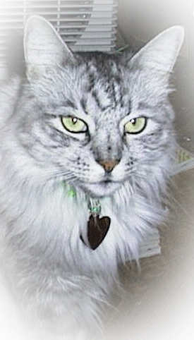 Milo