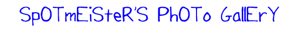 Spotmeister's Photo Gallery Banner