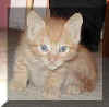 Rusty