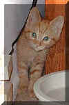 Rusty 09/1999