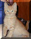 Rusty 9/1999