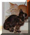 Rusty & Echo 09/1999