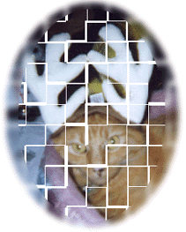 Spotmeister's reindeer face