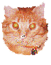 Click on my face to send me mail