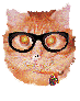 The Shagmeister