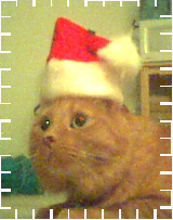 Have a SAFE Xmas & New Years & Please don't drink and drive!