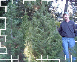 set mouse over image for a few seconds to view second picture