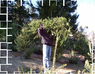 set mouse over image a few seconds to view second picture