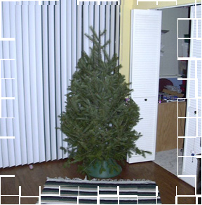 set mouse over image a few seconds to view second picture
